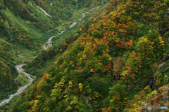 奈曾川の岸