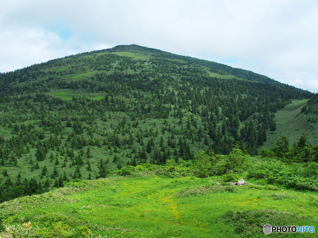 石森から望むお山