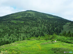石森から望むお山
