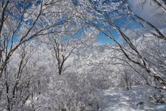 姫神山霧氷Ⅵ