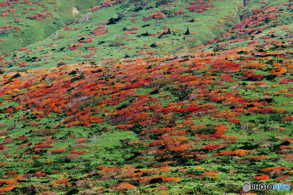 秋色の山肌Ⅱ