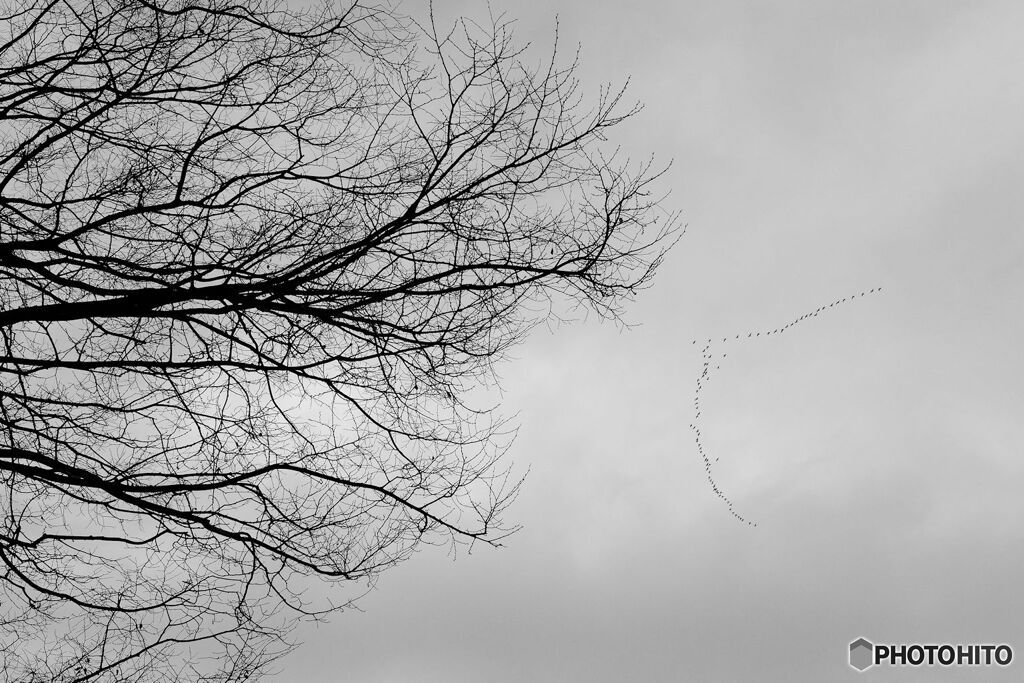 晩冬の空