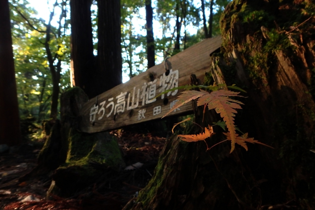 太平登山2014コンデジ撮りⅢ