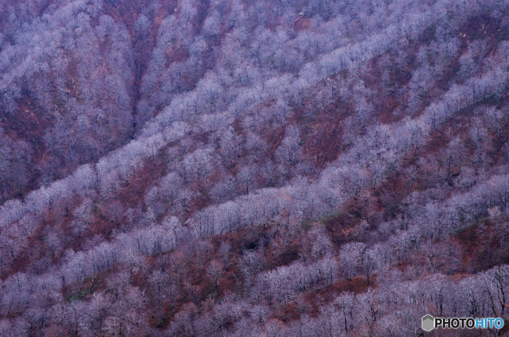 晩秋太平山Ⅱ