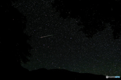 鶴間流星