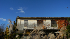 20101111十条製紙跡地にて003P7000
