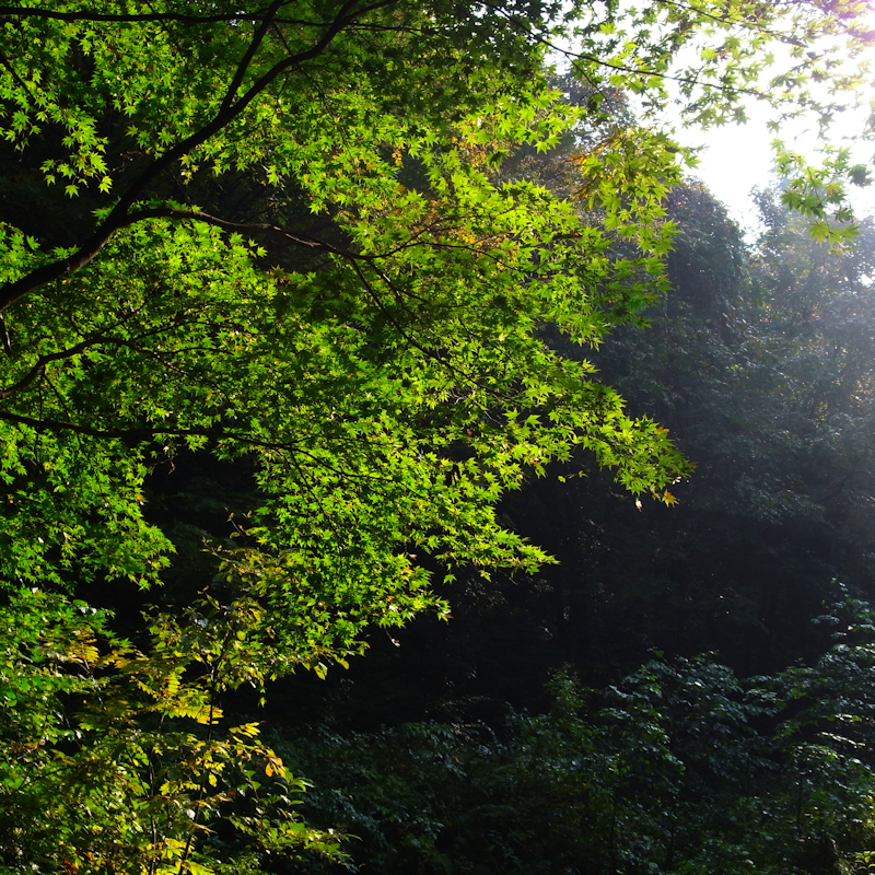 太平山・奥岳へ行ってきましたⅠ