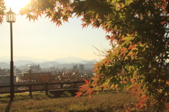 久松の秋