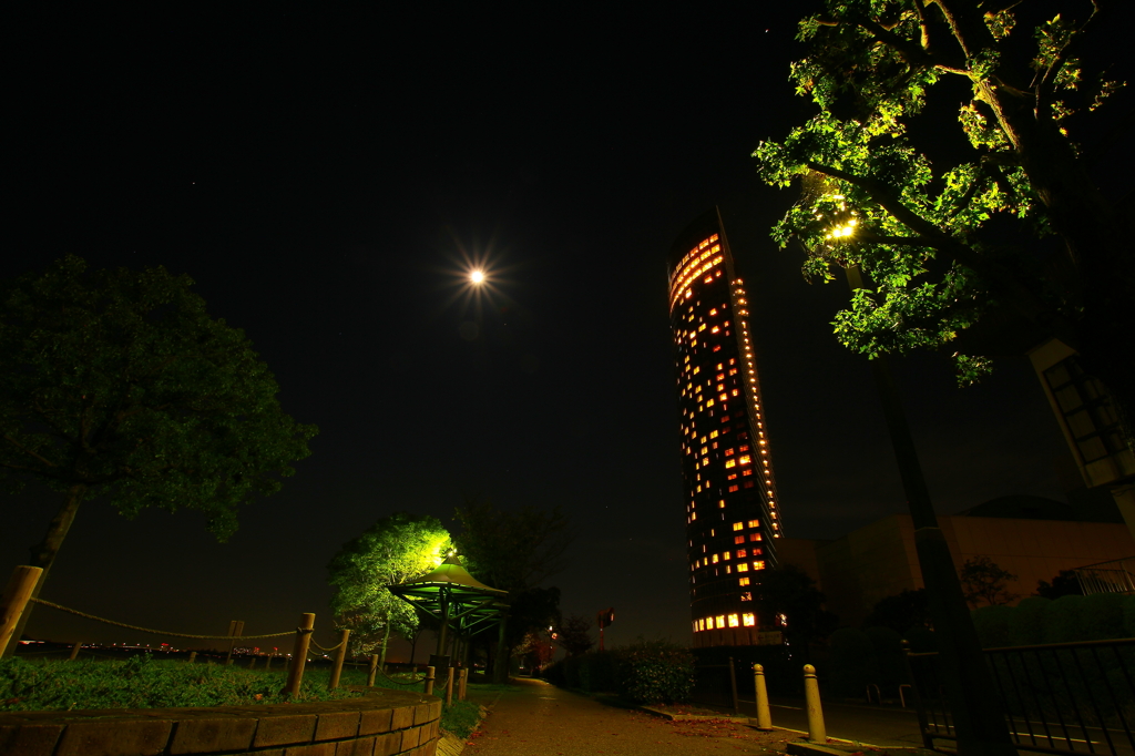 夜のお散歩～♪ 「帰り道☆」