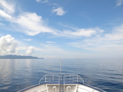 佐多岬