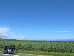 種子島②