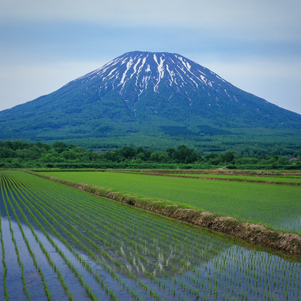 蝦夷富士の春