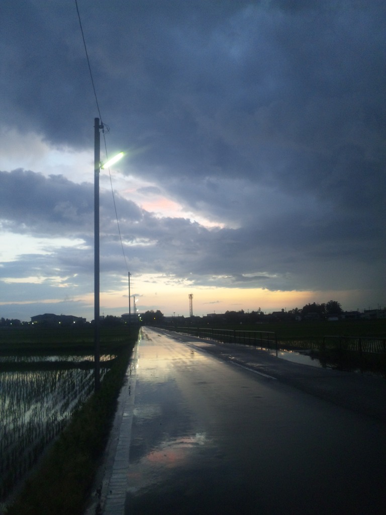 雨上がりの帰り道