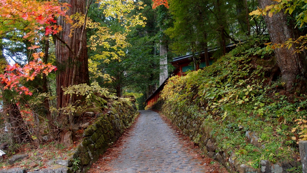 道