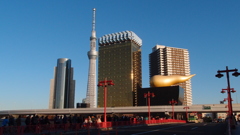ちらっとツリー