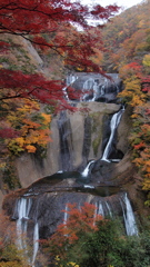 紅葉の滝