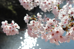 煌き