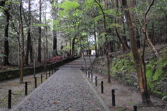京都・法然院です。