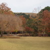 奈良公園の秋