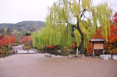 円山公園