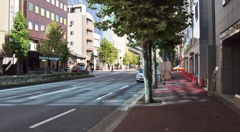 ビルの反射で青く染まる道。