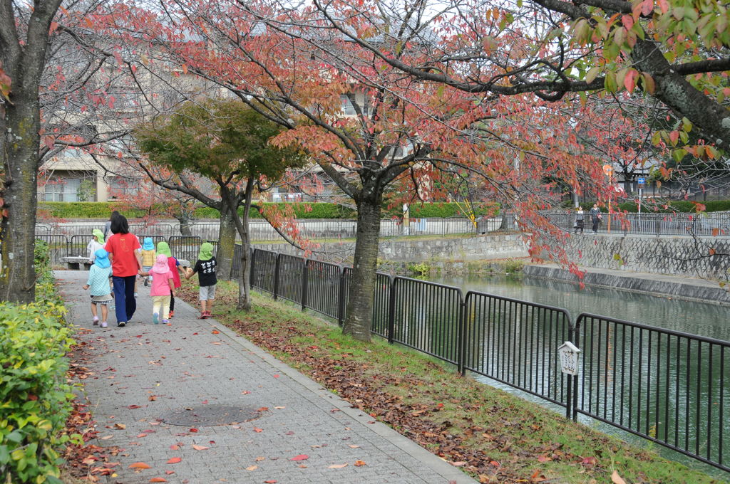 幼稚園の散歩