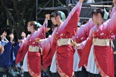 ２０１５大阪、こいや祭