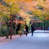 奈良の秋
