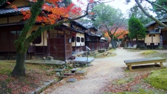 奈良公園の宿の道