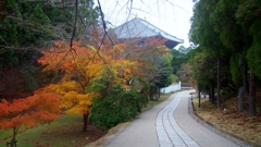 東大寺の見える道