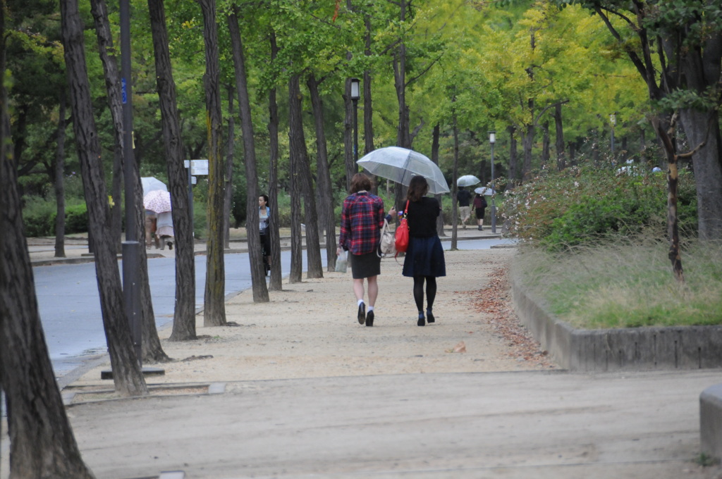 雨の日の公園