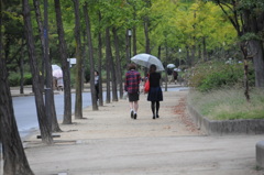 雨の日の公園