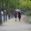 雨の日の公園