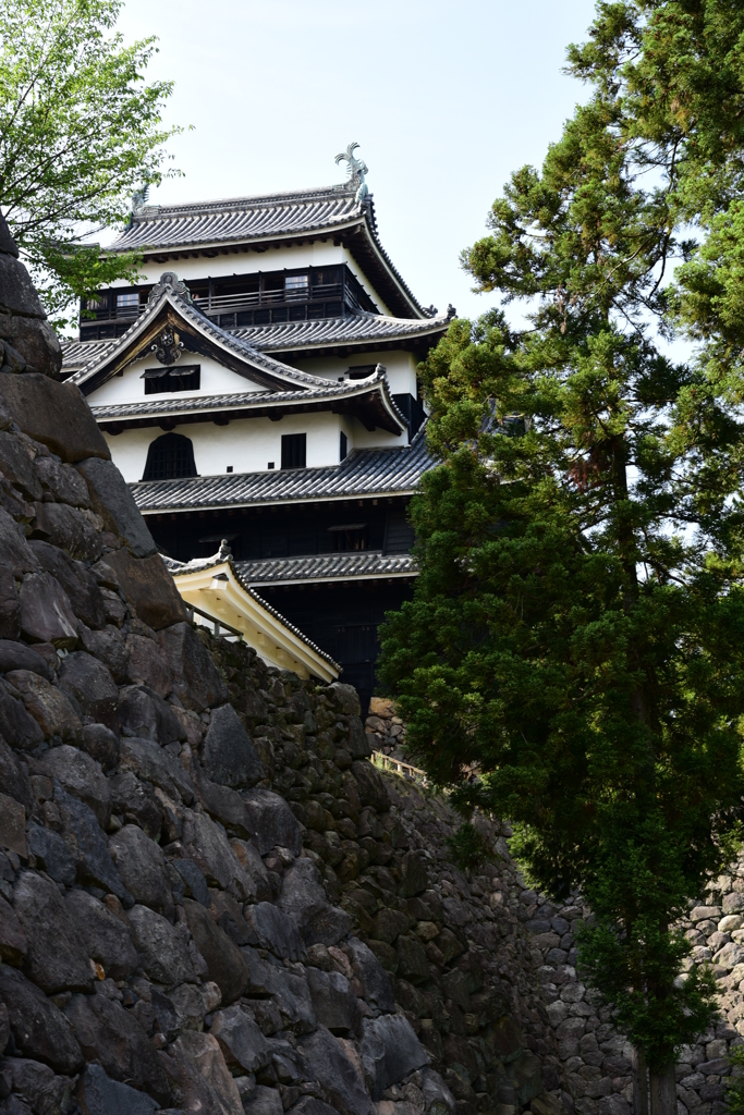 千鳥城