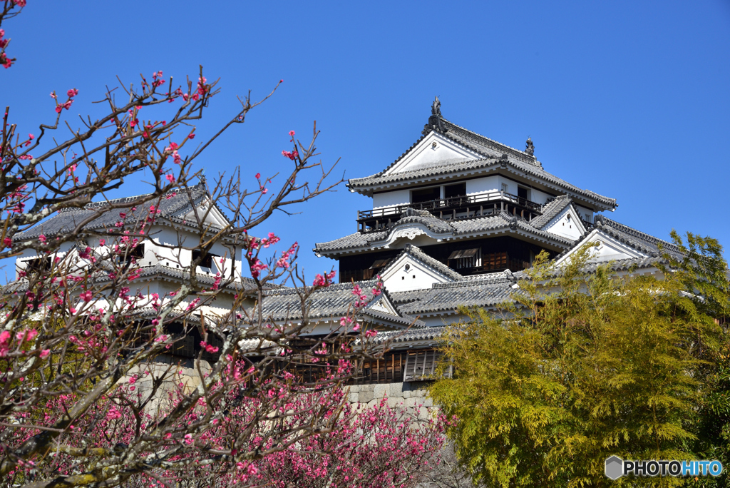 松山城 快晴なり