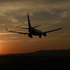 夕陽の中に