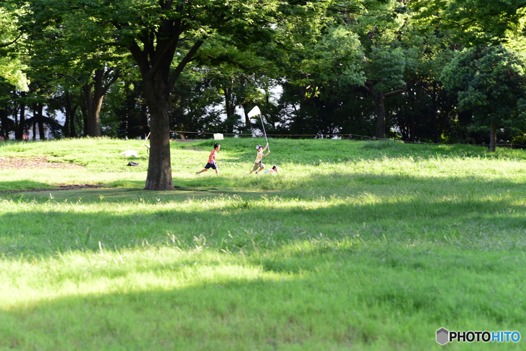 追いかけて