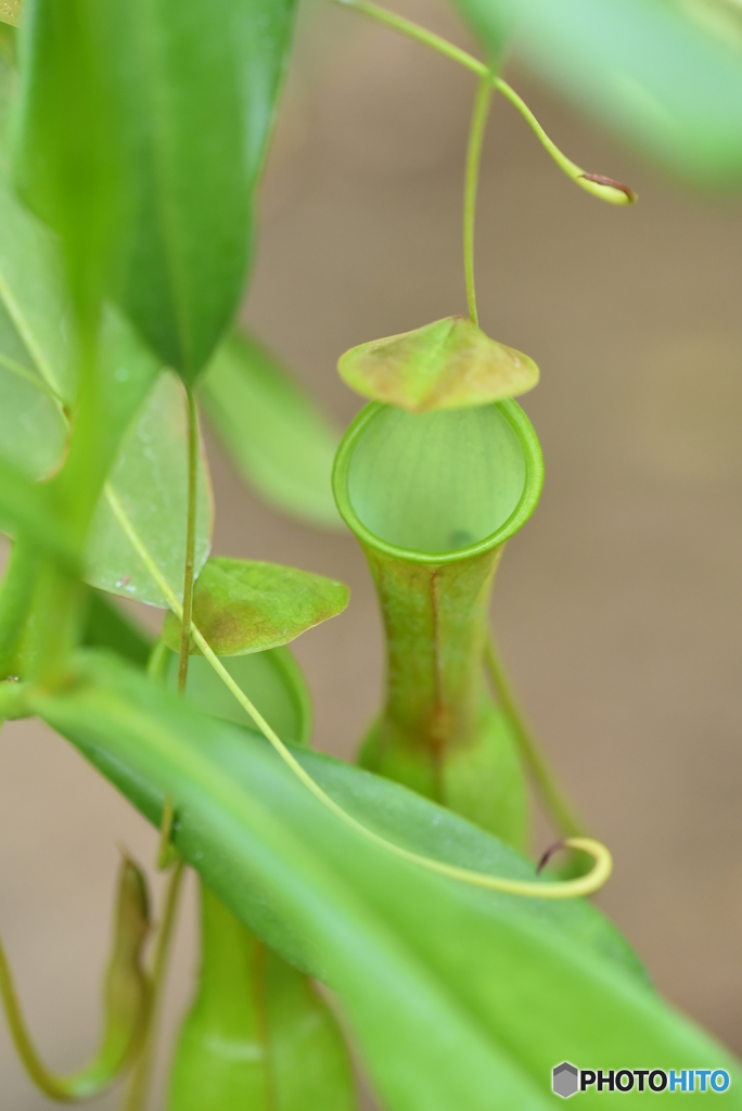 貴方を待っています･･･怖い