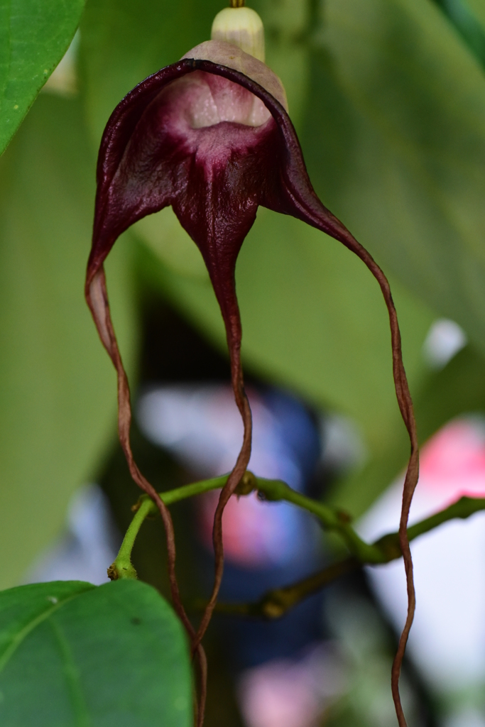 誰かに似てます？