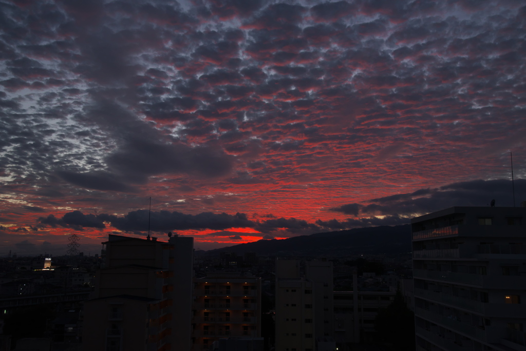 夕焼け