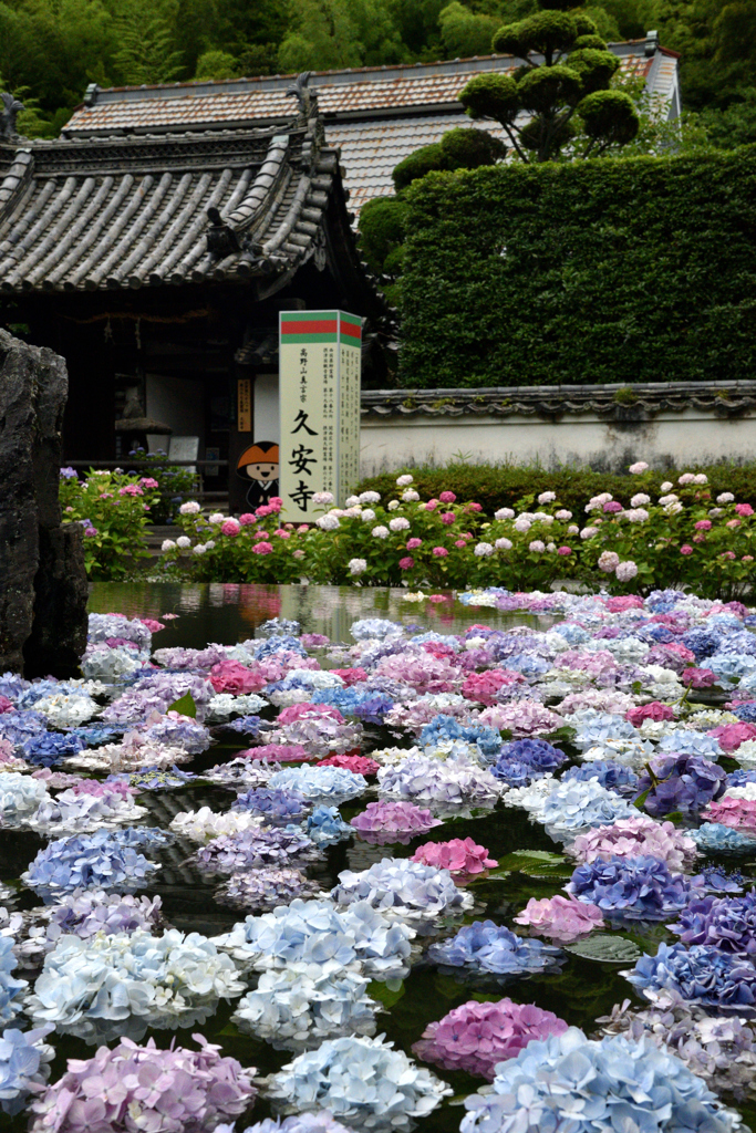 久安寺