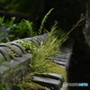 闇夜へ続く