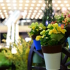 駅gardening