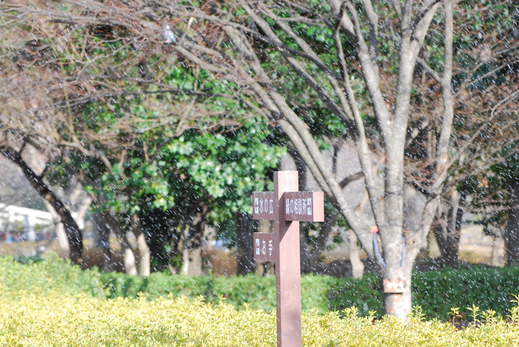 雪あられ