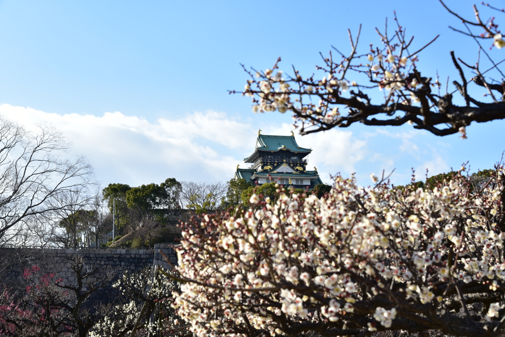 梅に城