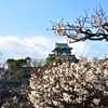 梅に城