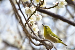 横顔素敵だよ