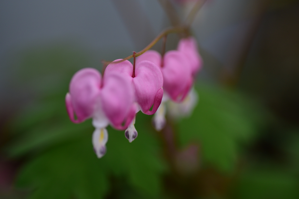 エイリアン誕生