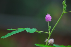 両手を広げ