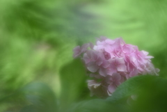 愛